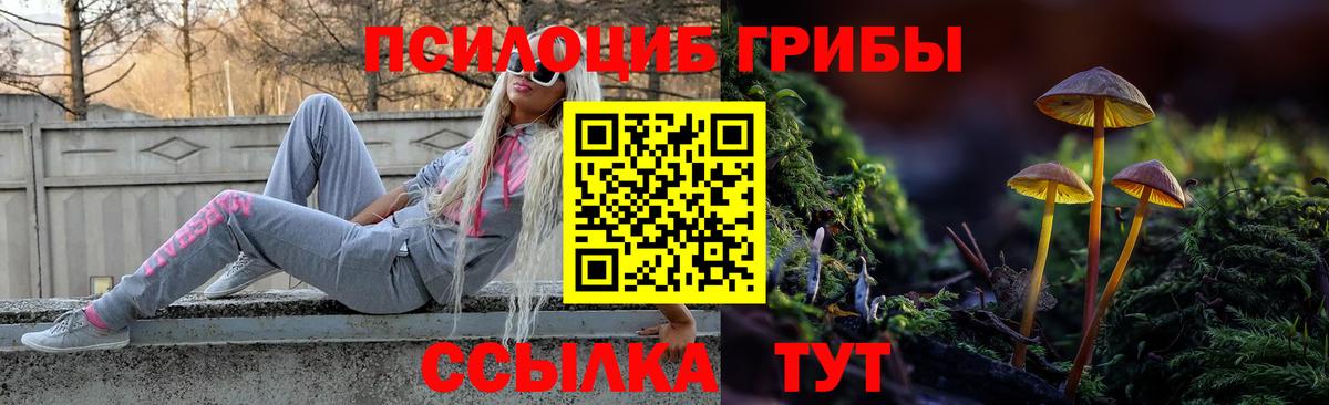 Иваново  Псилоцибиновые грибы MAGIC MUSHROOMS  Вход с VPN  где найти   Псилоцибиновые грибы ЛСД 